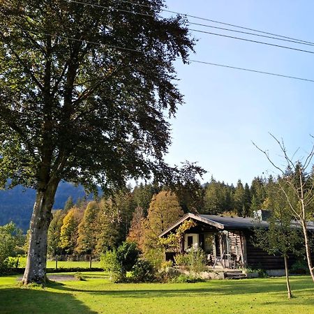Chalet Scheffsnoth Лофер Екстер'єр фото