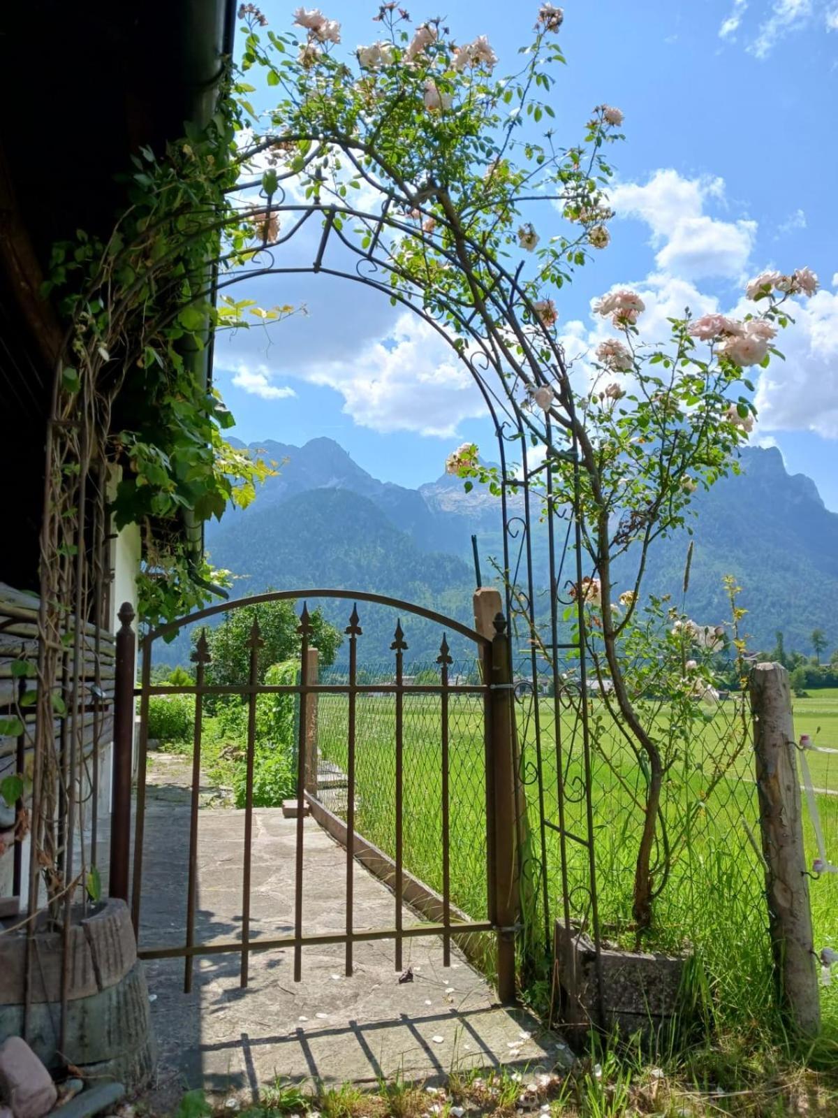 Chalet Scheffsnoth Лофер Екстер'єр фото